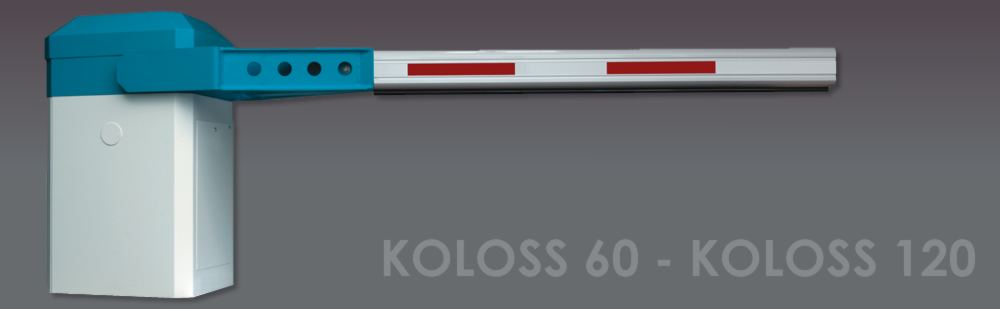 KOLOSS 12m